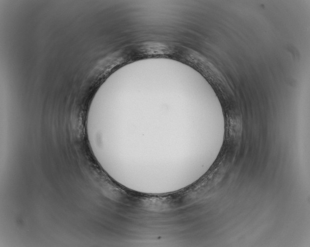 X0000112060422200908251025