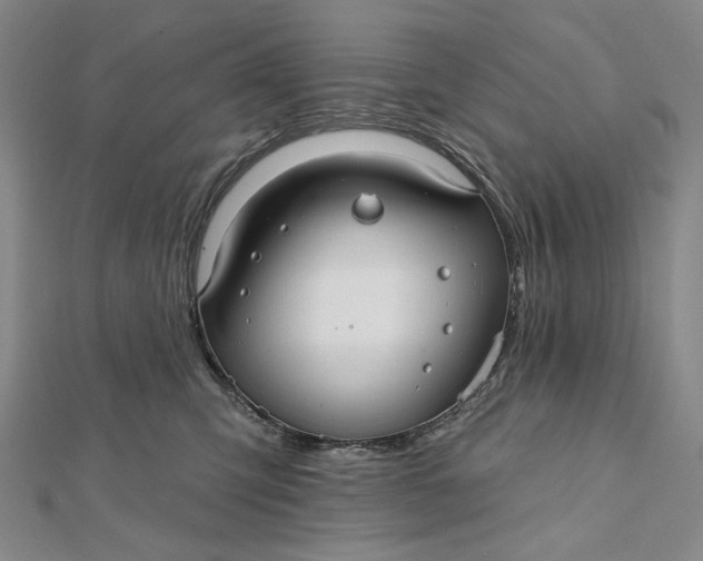 X0000112060423200908251025