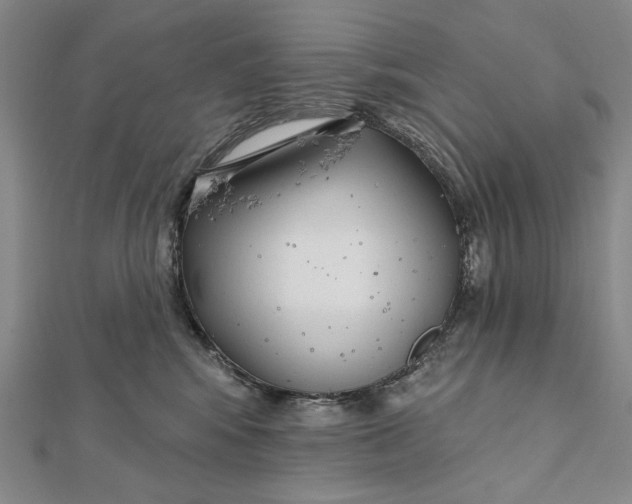 X0000112060424200908251025