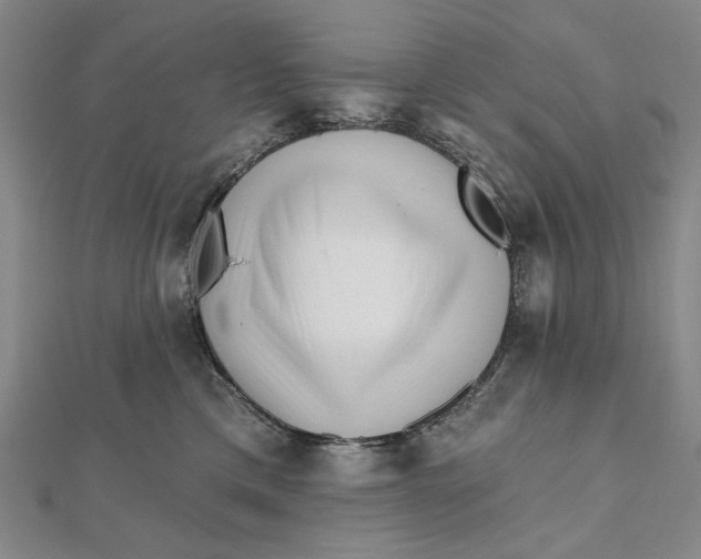 X0000112060425200908251025