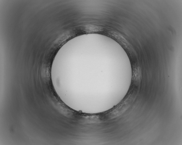 X0000112060426200908251025