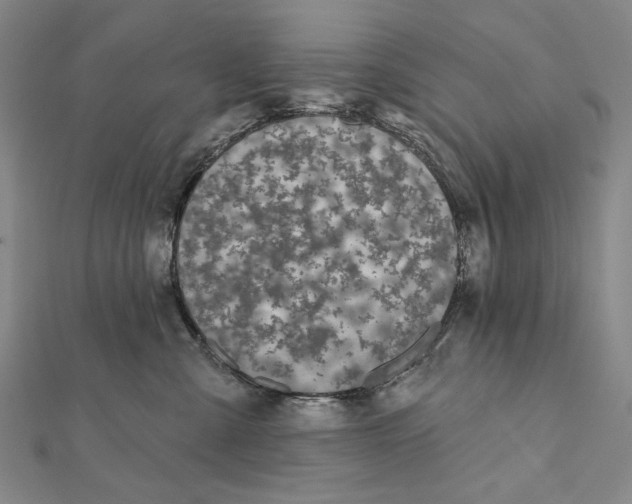 X0000112060427200908251025