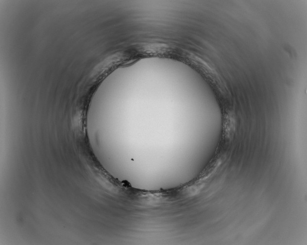 X0000112060428200908251025