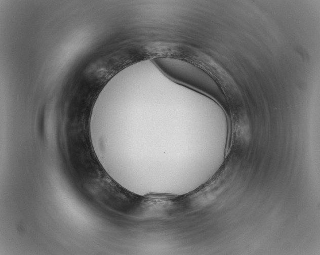 X0000112060429200908251025