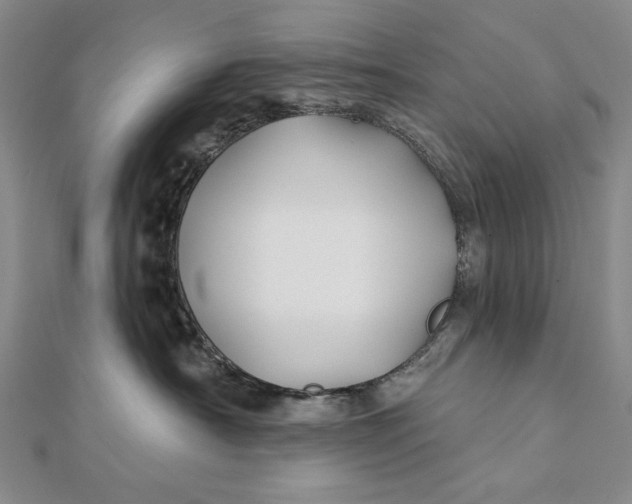 X0000112060430200908251025