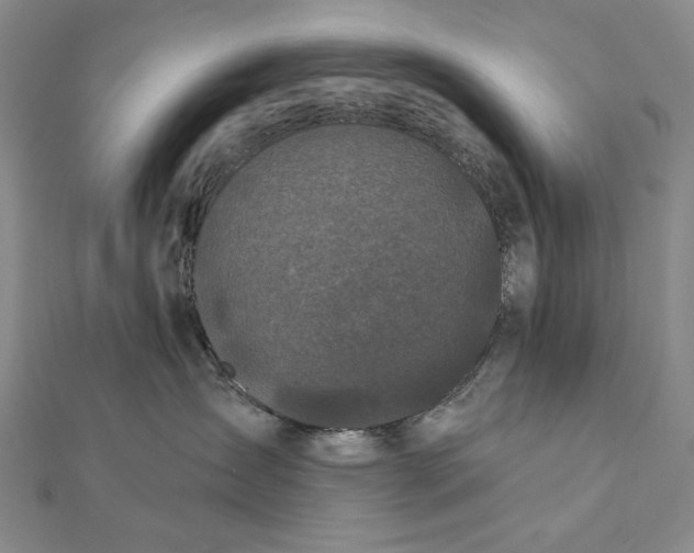 X0000112060431200908251025