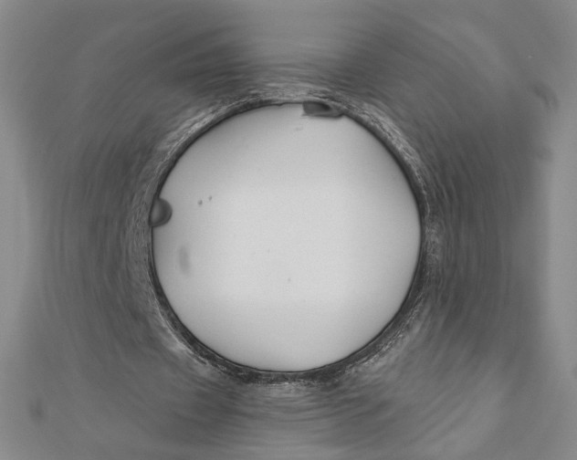 X0000112060433200908251024