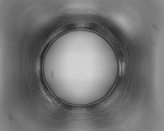 X0000112060435200908251024