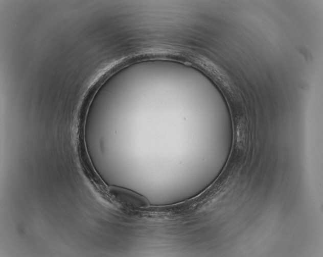 X0000112060436200908251024