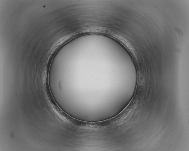 X0000112060437200908251024