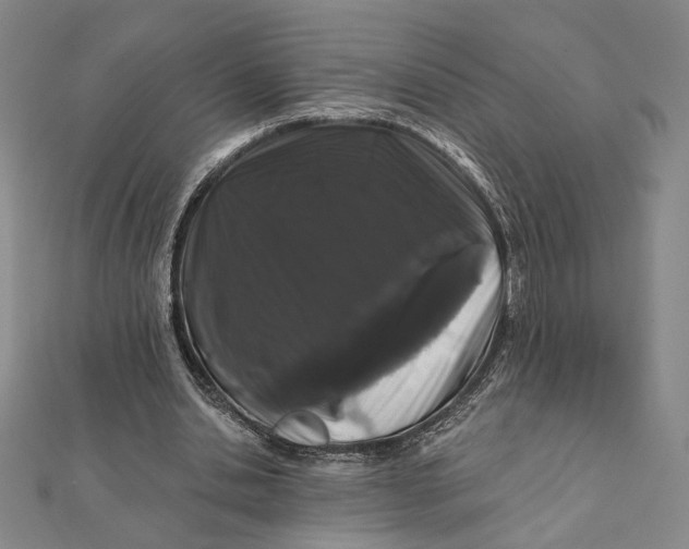 X0000112060438200908251024