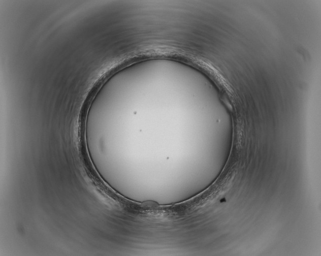 X0000112060439200908251024