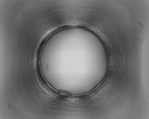 X0000112060440200908251024