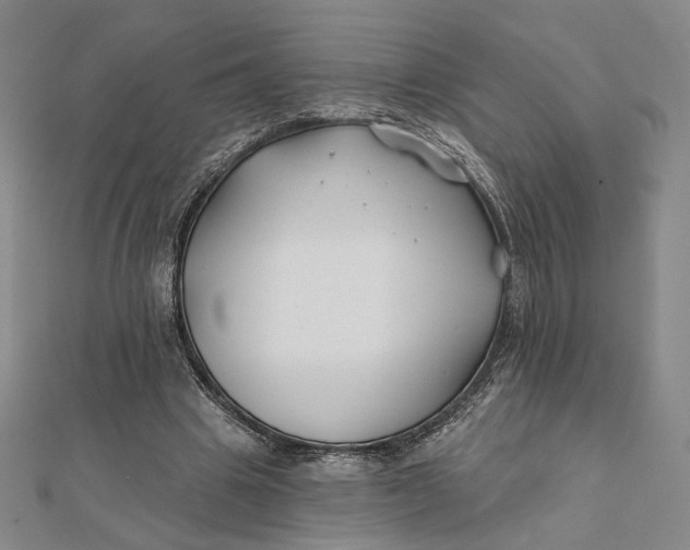 X0000112060441200908251024