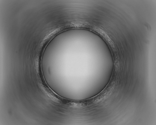 X0000112060442200908251024