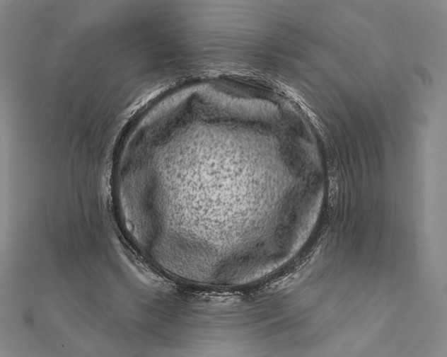 X0000112060443200908251024