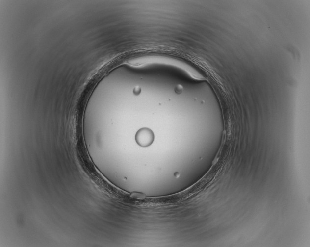 X0000112060444200908251024