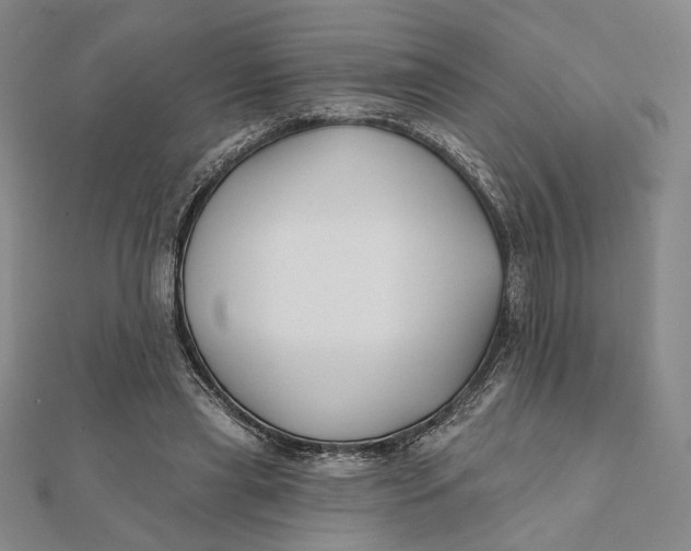 X0000112060445200908251024