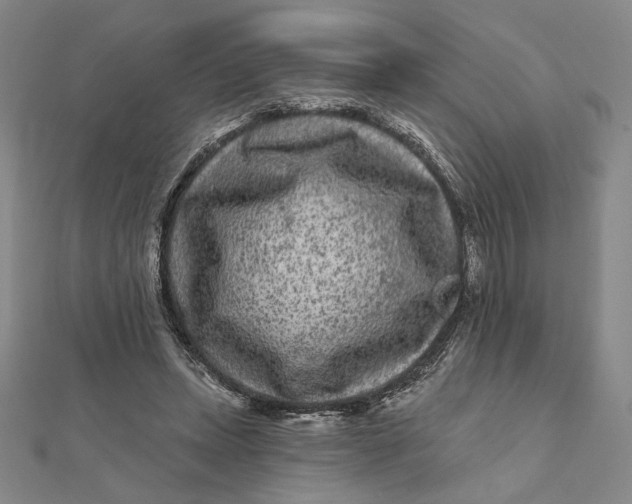 X0000112060447200908251024