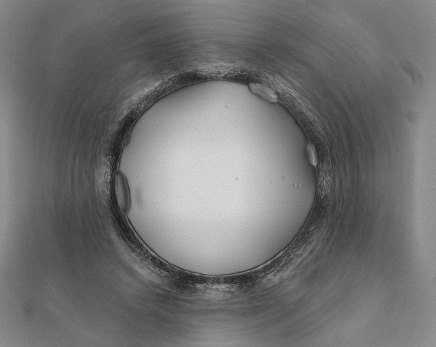 X0000112060448200908251024