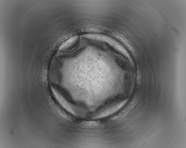 X0000112060449200908251024