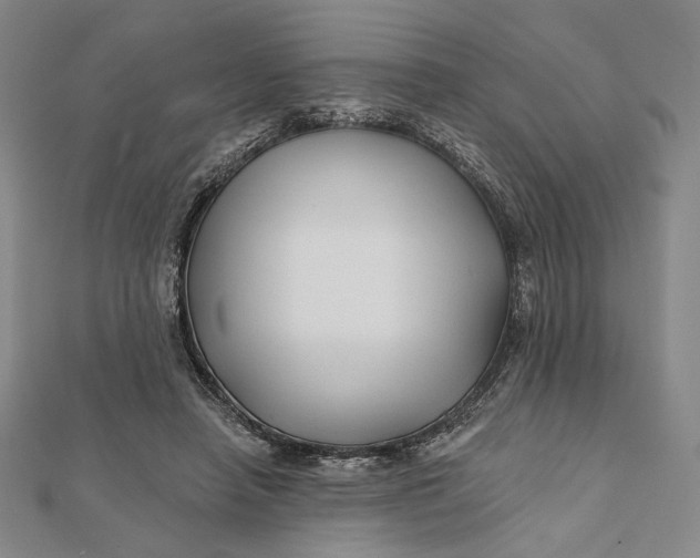 X0000112060450200908251024