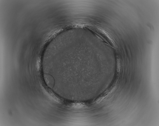 X0000112060451200908251024