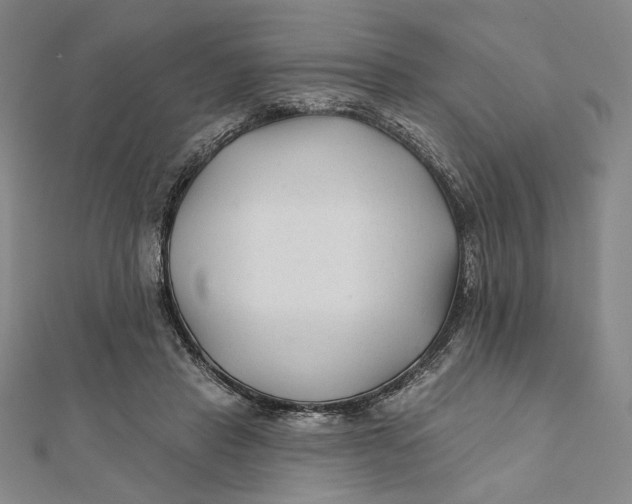 X0000112060453200908251024