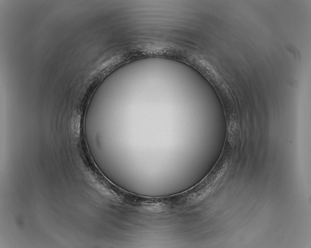 X0000112060454200908251024