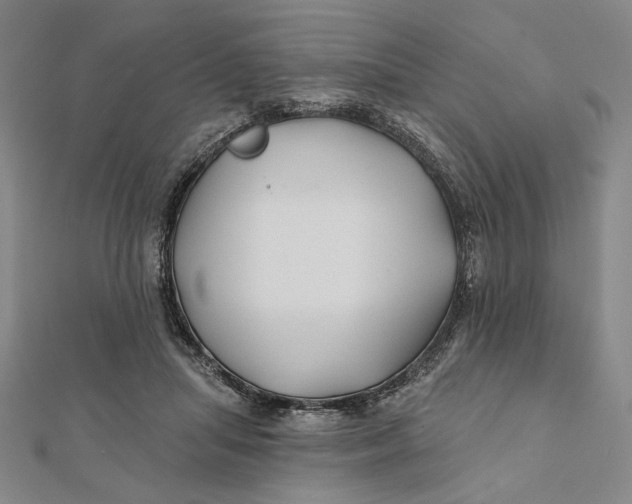 X0000112060455200908251025