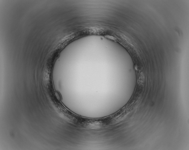 X0000112060456200908251025