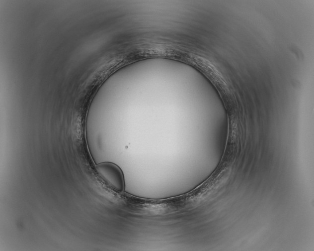 X0000112060457200908251025