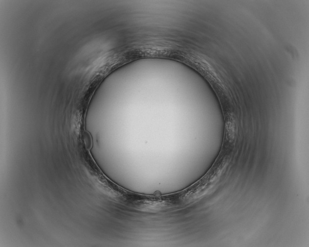 X0000112060458200908251025