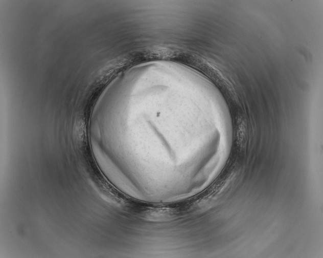 X0000112060459200908251025