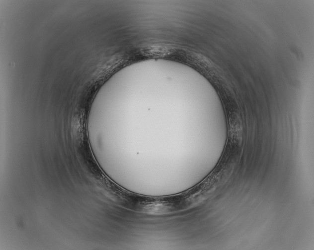 X0000112060460200908251025