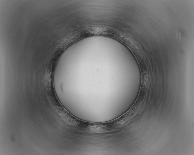 X0000112060461200908251025