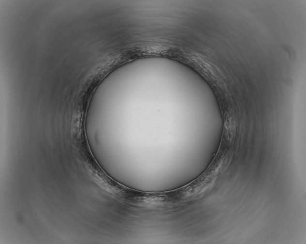 X0000112060462200908251025