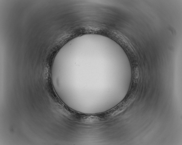 X0000112060463200908251025