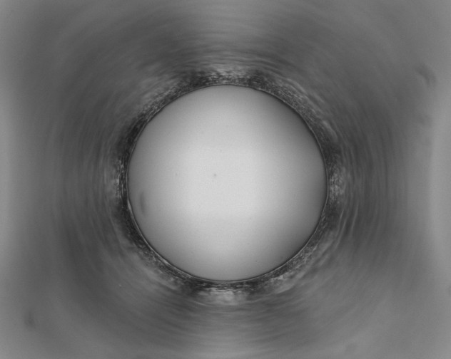 X0000112060464200908251025