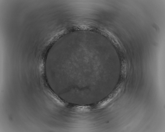 X0000112060465200908251025