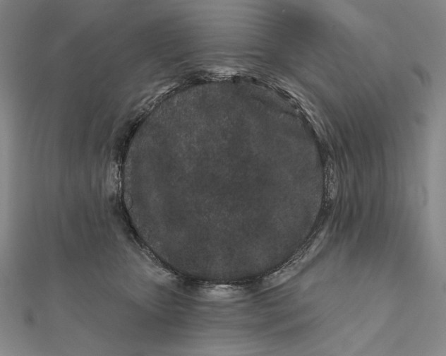 X0000112060467200908251025