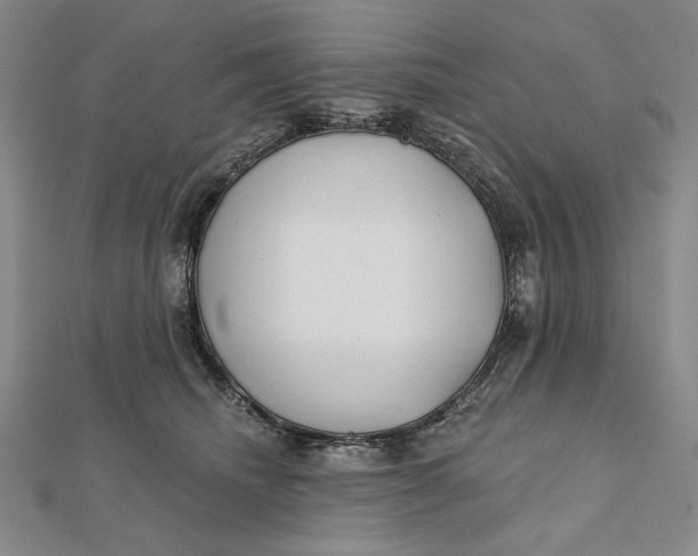 X0000112060468200908251025