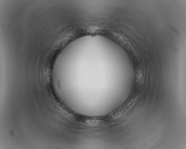 X0000112060470200908251025