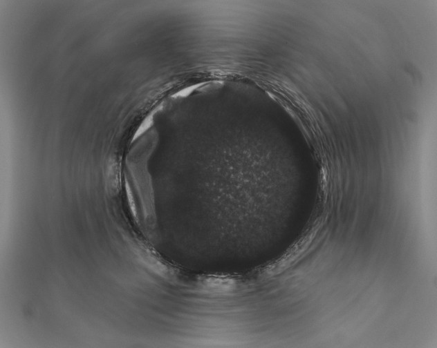 X0000112060471200908251025