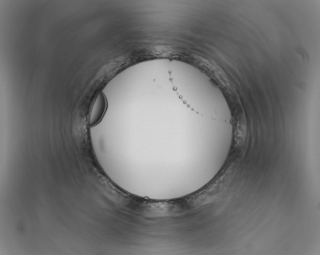 X0000112060473200908251025