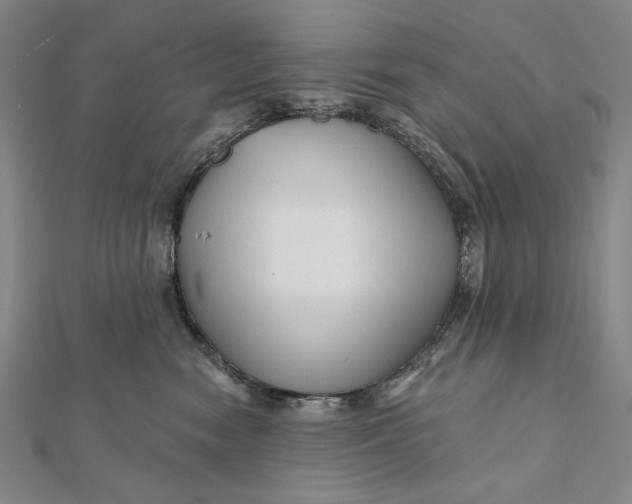 X0000112060474200908251025