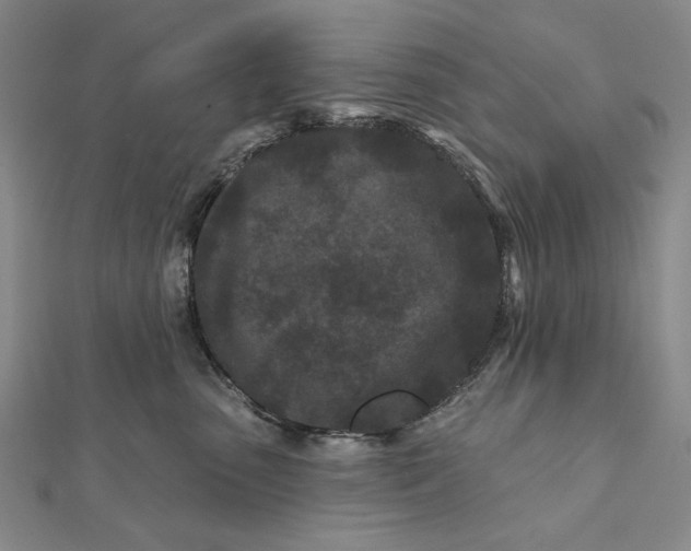 X0000112060475200908251025