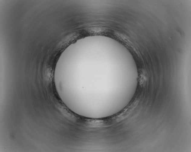 X0000112060476200908251025