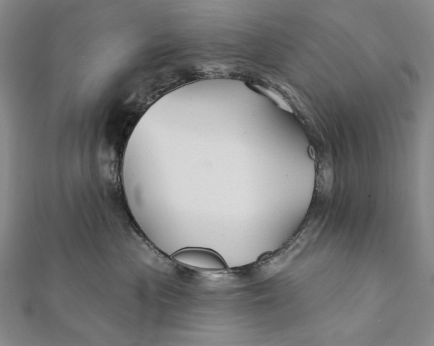 X0000112060477200908251025