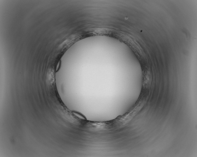 X0000112060478200908251025